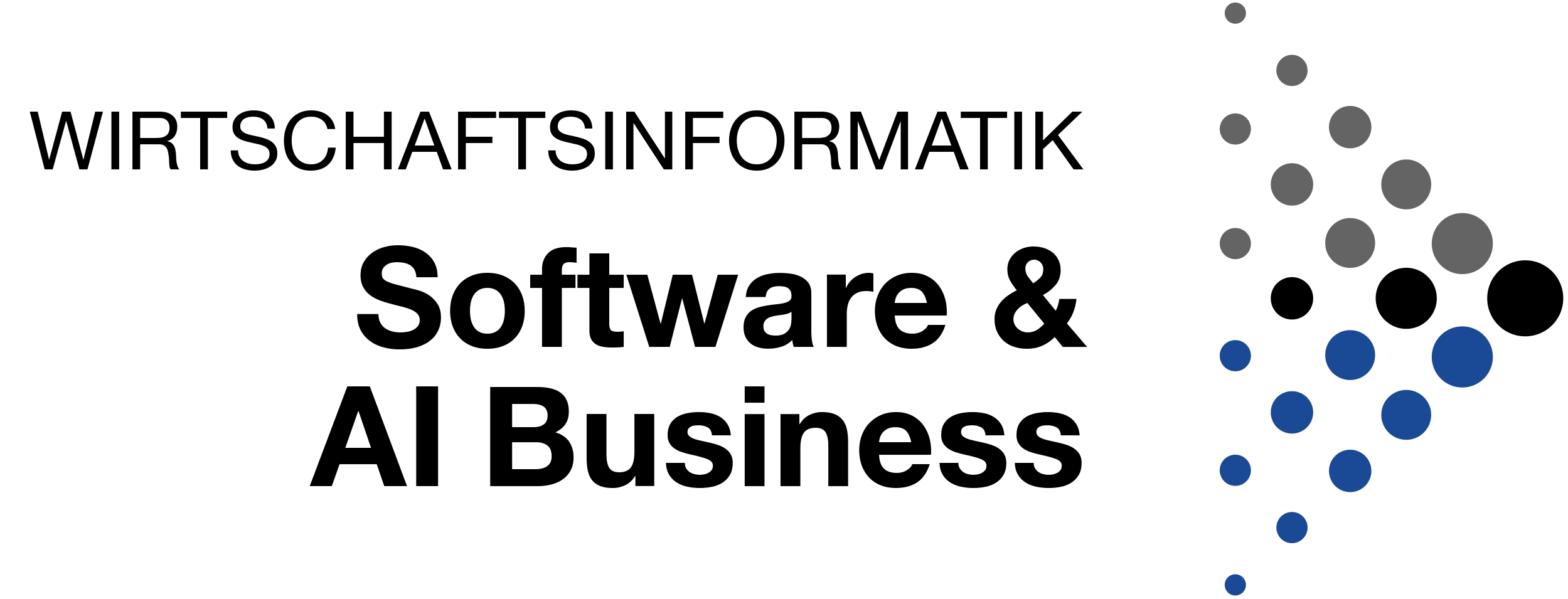 Software & AI Business